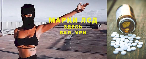 стафф Арсеньев