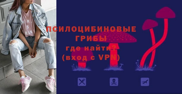 стафф Приозерск