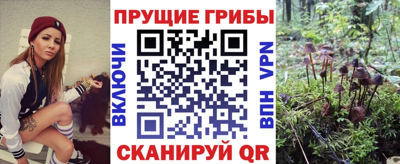 Галлюциногенные грибы ЛСД  ссылка на мегу вход  Краснослободск 